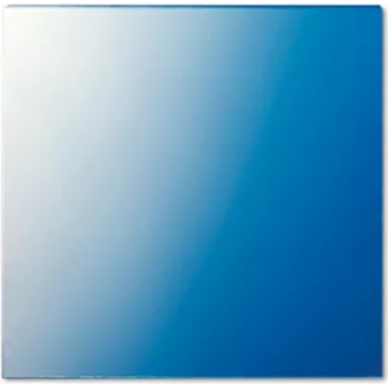 Jung Rondella 62,5x61x1mm 61 GL (61GL)