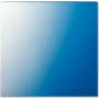 Jung Rondella 62,5x61x1mm 61 GL (61GL)