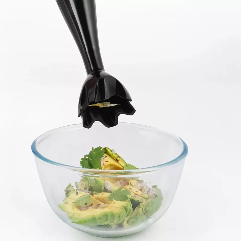 Frullatore a immersione Progress EK6215PVDE