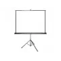Schermo da proiezione Grandview GV103004 manuale 1:1