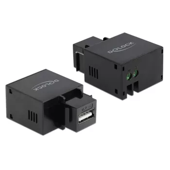 Modulo keystone DeLOCK 86506