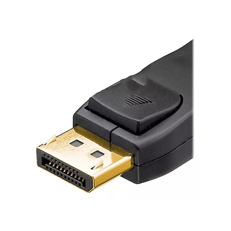 Cavo DisplayPort Wentronic 49960 3 m nero