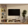 MALWA 120 mobile TV, cashmere