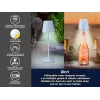 Cuocivapore elettrico Beper P201UTP124 a 2 livelli 800 W, cuocitore per piano di lavoro