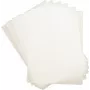 Pellicole per plastificazione DAHLE A3 303×426 mm 2×125 μm (250 mi) – confezione da 100