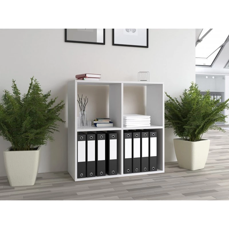 Libreria da soggiorno Topeshop MALAX 2X2 BIEL