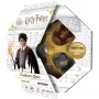 Harry Potter quiz maghi, gioco quiz