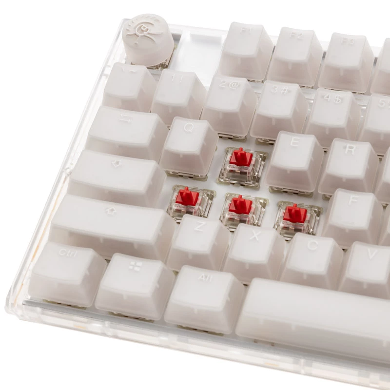 Ducky One 3 TKL tastiera gaming USB QWERTY inglese bianco
