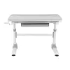 Ergo Office Scrivania ergonomica per bambini regolabile in altezza, grigia, max 100 kg, ER-417 2cz