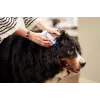 Soluzione per la cura delle orecchie VIRBAC EPI-OTIC 125 ml – detergente auricolare veterinario per cani e gatti