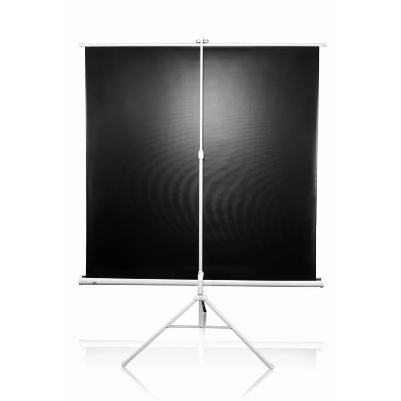 Schermo per proiezione con treppiede Elite Screens T113NWS1 2,87 m 1:1