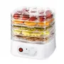 Essiccatore Esperanza EKD004, trasparente, bianco 250 W