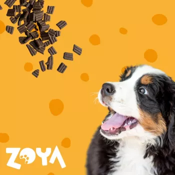 ZOYA ColdPRO Lamb - Cibo secco per cani - 1 kg