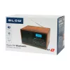 Radio portatile analogica AM/FM BLOW RA9 V.2 — ricezione AM e FM, a batteria, sintonia analogica