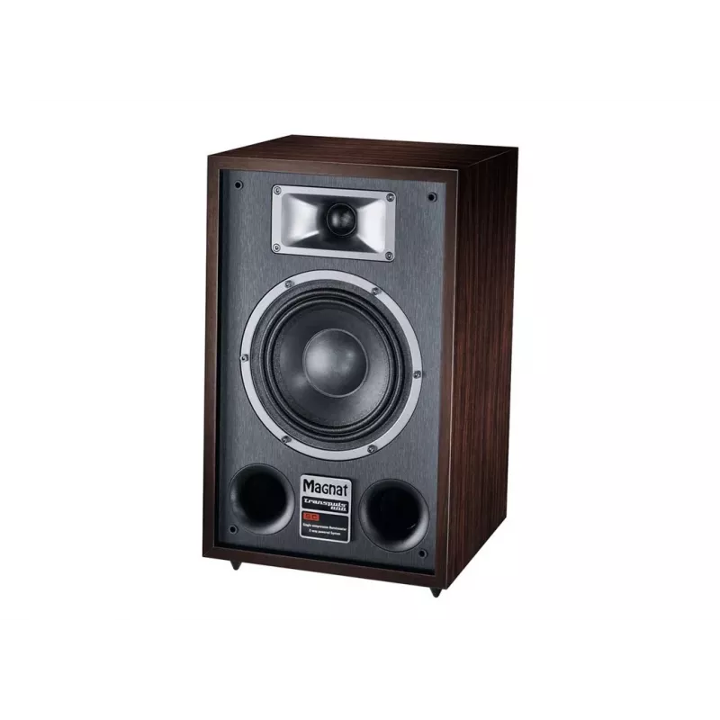 Diffusore da pavimento Magnat TRANSPULS 800A 2 vie con e senza fili 2×60 W, Bluetooth 5.0, HDMI, nero/marrone