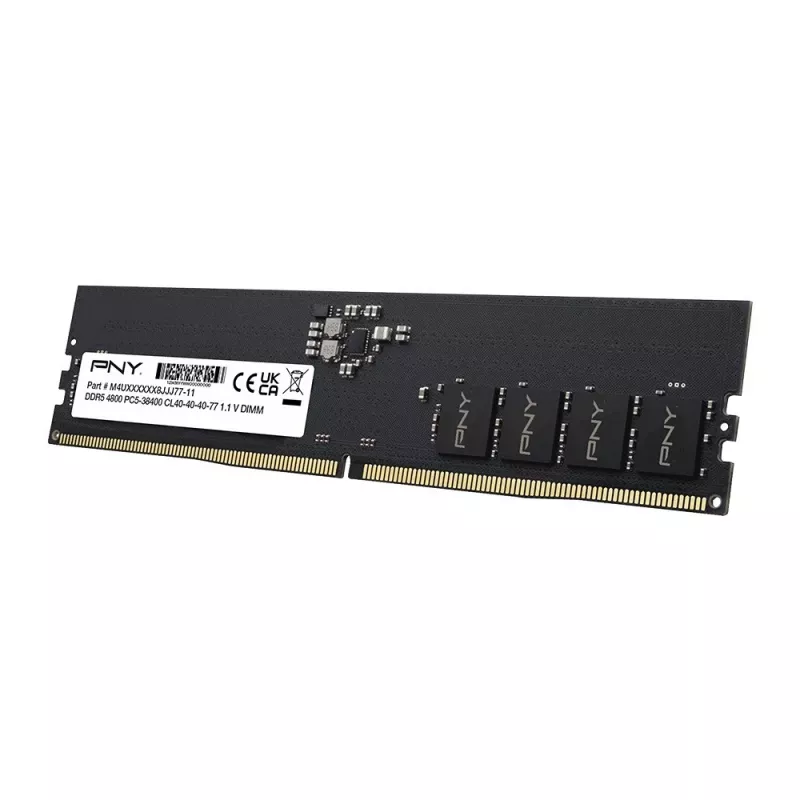Memoria desktop PNY 8GB DDR5 5600 DIMM (MD8GSD55600-SB)