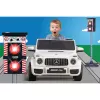 Traffic Flash lampeggiante Jamara 461850 con funzioni realistiche