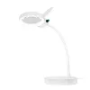 Lente d'ingrandimento con supporto, 8 e 36 diottrie