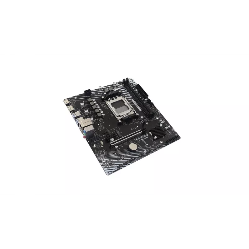 Scheda madre BIOSTAR A620MT-E 2.0 — microATX socket A620 chipset