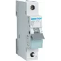 Hager MBS125. Corrente nominale: 25 A. Tipo: curva B, numero moduli (max): 1 modulo. Larghezza: 17,5 mm, profondità: 70 mm, altezza: 83,4 mm (MBS125)