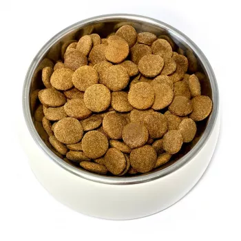 TEO ricco di pollame - cibo secco per cani - 9kg