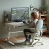 Ergo Office Scrivania ergonomica per bambini regolabile in altezza, grigia, max 100 kg, ER-417 2cz