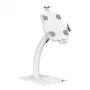 Supporto per tablet da scrivania/a parete MACLEAN MC-468W, bianco, per tablet da 7,9–11