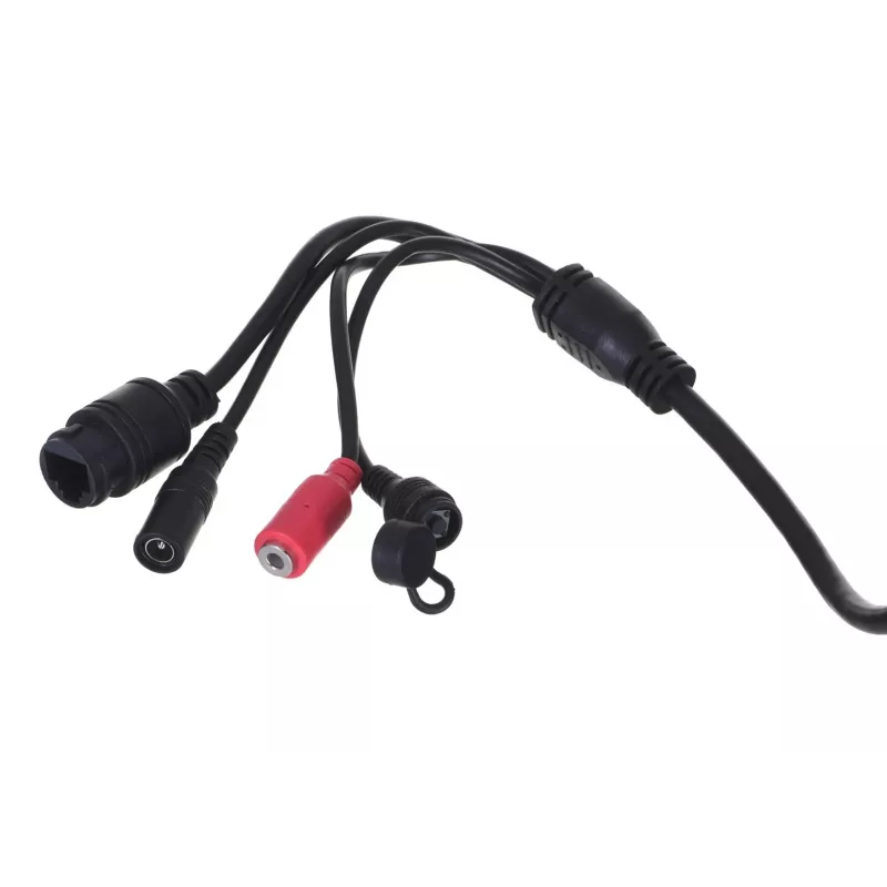 Foscam D4Z Bulb telecamera IP di sorveglianza interno & esterno 2304 x 1536 pixel soffitto