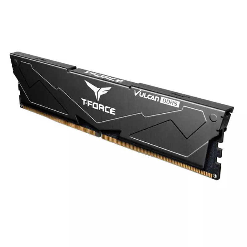 DIMM 32 GB DDR5-6000 (2x 16 GB) Dual-Kit, memoria RAM nera, FLBD532G6000HC38ADC01, Vulcan, AMD EXPO
