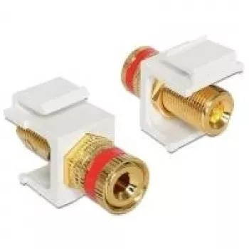Modulo Keystone DeLOCK 86304
