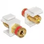 Modulo Keystone DeLOCK 86304