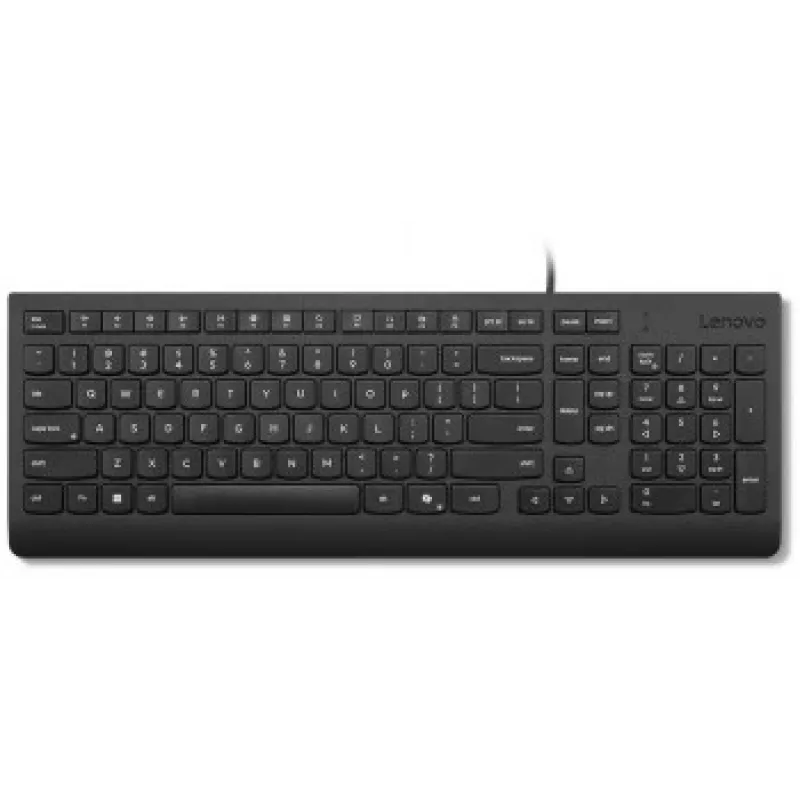 Tastiera con filo LENOVO Essential AI lituano (LT)