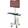 Postazione PC mobile seduta/in piedi Value 17.99.1174 argento