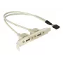 Staffa slot 1x USB 5 pin interno su 2x USB 2.0 esterno DeLOCK 71000
