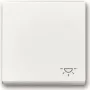 BJ 2520 LI-84 bilanciere con stampa bianco studio solo placca di copertura (2CKA001751A3189)
