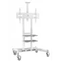 Supporto per TV ONKRON TS1881-W per TV da 50–86 pollici, bianco, supporto universale autoportante