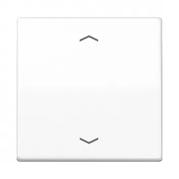 Placca a parete/copriinterruttore Jung AS101PWW, plastica senza viti, 1 pezzo