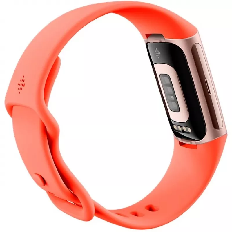 Fitbit Charge 6 - Champagne Gold alluminio - Activity tracker con Infinity Band - silicone - color corallo - NFC, Bluetooth - 37.64 g (40-56-7910)