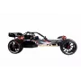 Buggy Amewi 