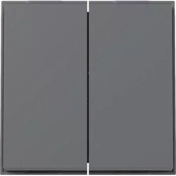 GIRA Bilanciere 2f TX_44 WG UP 329567 antracite (329567)