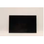 Lenovo 5D10V82406 display LCD da 16,0 pollici (AUO B160UAN03.2)