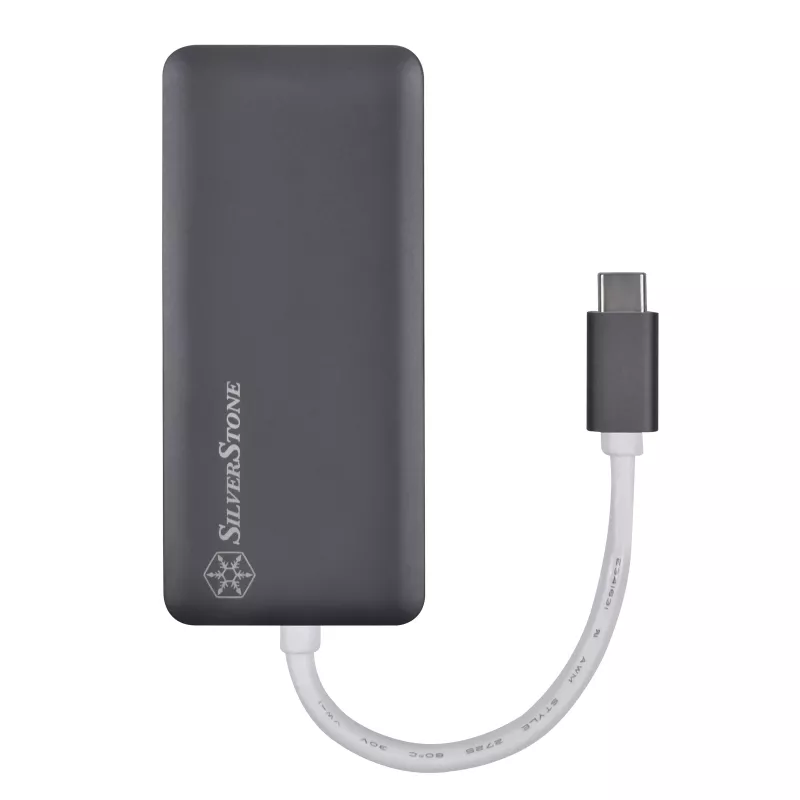 SilverStone SST-EP14C - USB 3.1 Type-C Gen1 su HDMI, 3x USB 3.1 Gen 1 Type-A, 1x USB 3.1 Gen 1 Type-C (ricarica PD 2.0) (SST-EP14C)