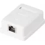 Presa di rete Renkforce CAT 6 1 porta, bianco