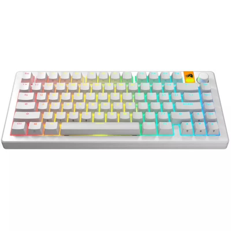 Tasti GLORIOUS GPBT Backlit — PBT bianco, layout ANSI