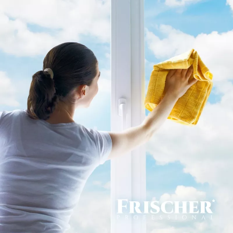 Frischer detergente vetri con effetto antiappannamento 1 l