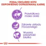ROYAL CANIN Sterilised 37 - Crocchette per gatti - 10 kg