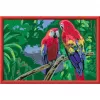 Ravensburger dipinti con i numeri - Pappagalli colorati