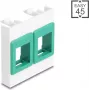 Cornice modulare per montaggio a muro 45x45 mm DELOCK Easy 2x supporti Keystone bianco/verde