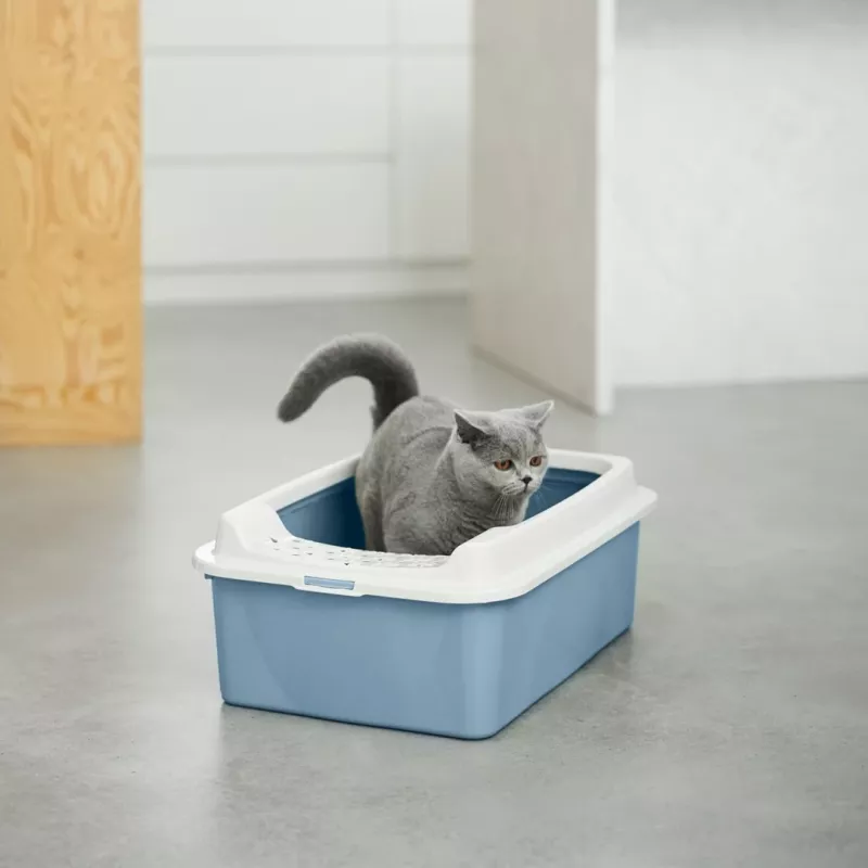 ROTHO Bonnie Eco Blue - lettiera per gatti