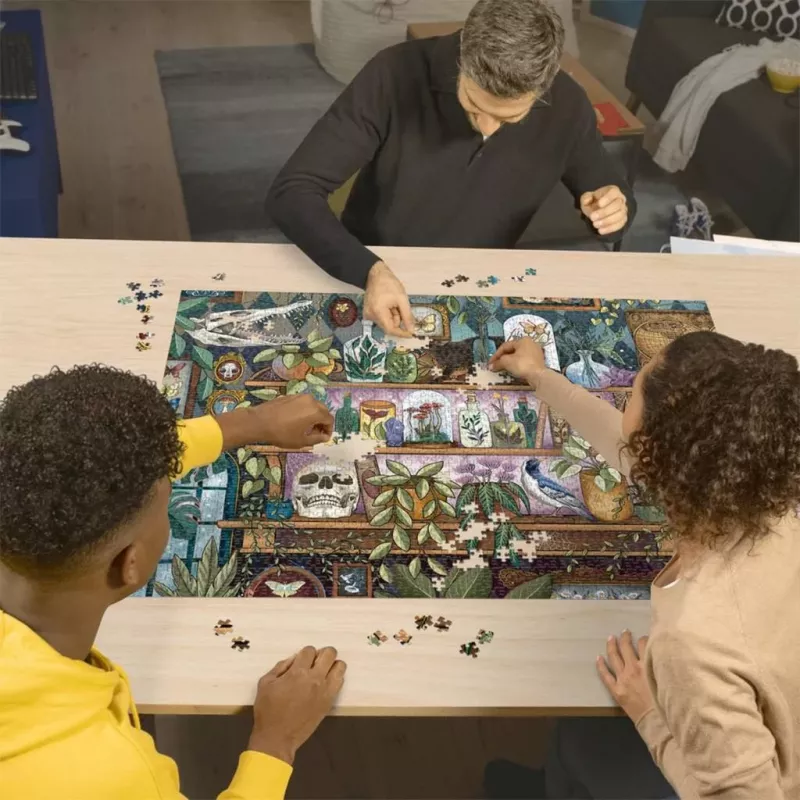 Puzzle Ravensburger A Witch's Favorite Things — 2000 pezzi